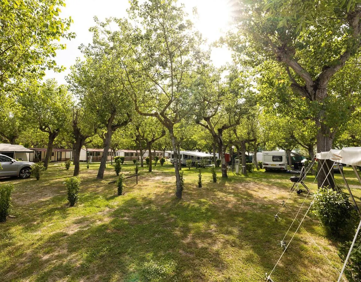 Camping Classe Villa Lido di Dante